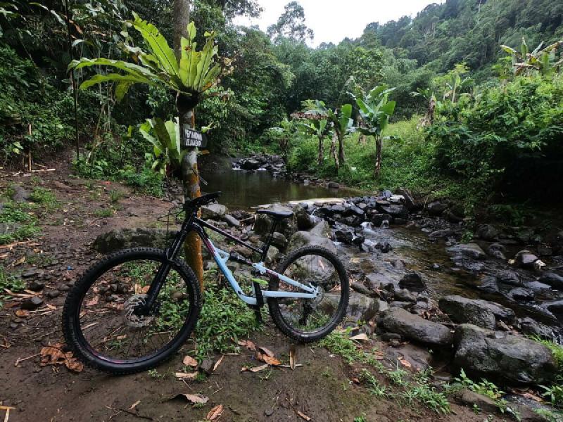 Featured image of post Polygon Siskiu D7 2021 Setelah 7 Bulan